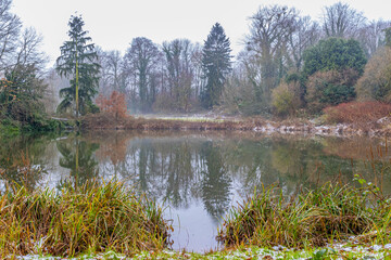 Obraz premium Pond surrounded by wild grass with traces of snow with reflection in the water surface of the surrounding trees in Kelmonderbos, cloudy hazy winter day in South Limburg, the Netherlands