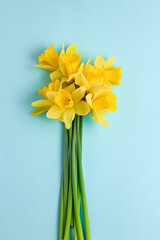cute bouquet of spring flowers on a blue background. yellow daffodils simple minimalistic composition. flat lay, top view