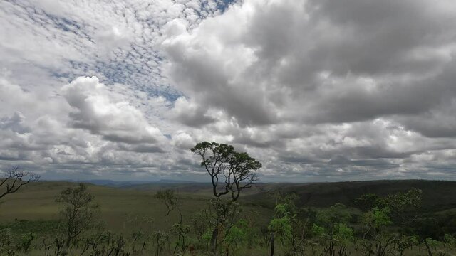 Brilliance of Brazil: A Nature Time-Lapse Symphony from Mountain Heights with trees and clouds moving fast 4k stable zoom smooth