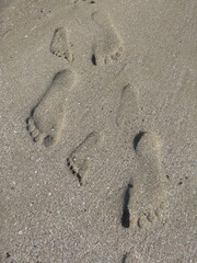 Adult and children's footprints on the wet sand. Beach shore.