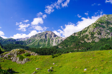 Fototapeta na wymiar Mountain valley in the Cherek-Balkarsky river gorge in the vicinity of Ushtulu