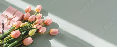 Bouquet of pink tulips and gift box isolated on green background with shadow. Spring flowers. Greeting card for Birthday, Woman, Mother's Day, Wedding, Valentine's day. Flat lay. Copy space. Banner
