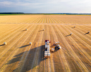 Aerial view of truck with hay bales. Agricultural machinery. Chamfered field and hay stacks after harvesting grain crops at sunset. Top View. Tractor loads bales of hay on truck with trailer. Harvest © den-belitsky