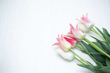 Fototapeta premium bouquet of tulips