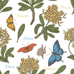 Beautiful vintage seamless pattern with plumeria flowers and butterflies. Engraving style. Color. Vector illustration. 