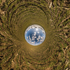 blue sky ball in middle of swirling field. Inversion of tiny planet transformation of spherical panorama 360 degrees. Curvature of space.