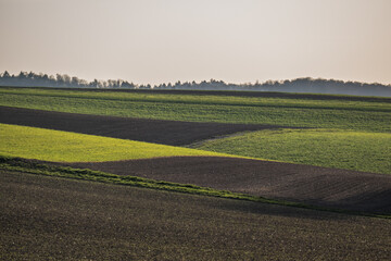 Ackerbau im Frühjahr