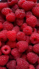 close up of raspberries