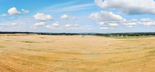 aerial view of wheat field under blue sky with clouds