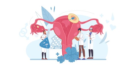 Cartoon flat doctor characters at work,physicians with medical devices in uniform lab coats study uterus reproductive system-human anatomy internal organ desease medical treatment therapy concept