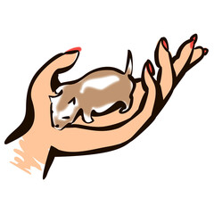 Human hand hold little newborn puppy. One Month Old dog Sleeping On Woman\'s Palm, ink style illustration