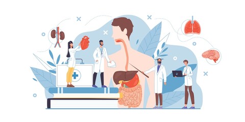 Vector cartoon flat doctor characters at work in uniform,lab coats study human internal organs,heart,intestines,liver-disease prevention,medical meeting,conference,diagnostics,treatment and therapy