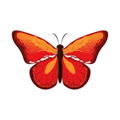 cute watercolor butterfly