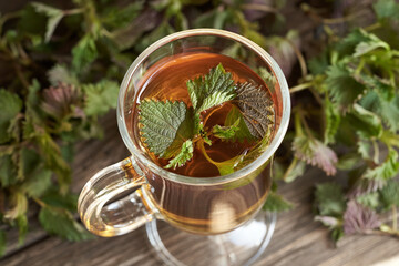Stinging nettles in a cup of herbal tea