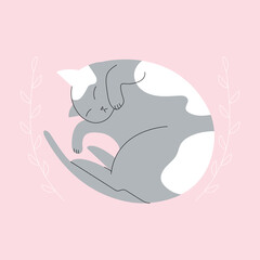 Gray Cat Sleeping in curled position. Cute lying Sleep Kitty. Vector isolated flat illustration adorable kitten silhouette on pink background with line art leaves