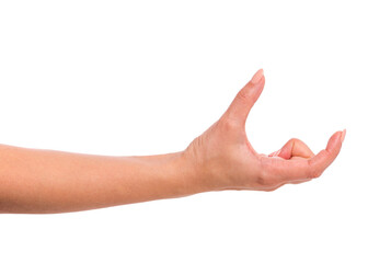 Female hand, isolated on white background. Beautiful hand of woman with copy space. Spacing between fingers.