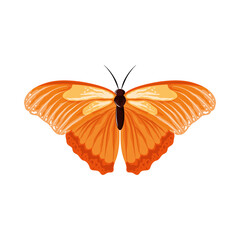 Fototapeta na wymiar watercolor butterfly insect