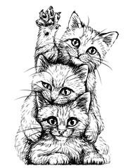 Cats. Wall sticker. Graphic, black and white sketch depicting three cute kittens on a white background. Digital Vector graphics. - 424071669