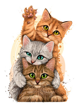 Naklejki Cats. Wall sticker. Color, graphic portrait of three cute kittens on a white background in watercolor style. Digital Vector Graphics.  Individual layers