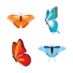 watercolor colored butterflies