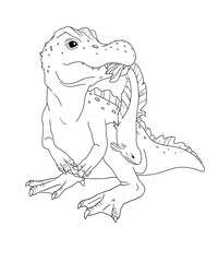 The baby spinosaurus has caught a fish and is holding it in its mouth. Picture for coloring on a white background.