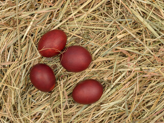 Easter eggs, painted with onion husks lie on the hay.
