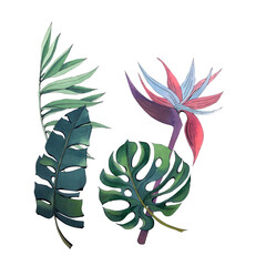 Set of bright watercolor tropical leaves and flowers. Leaves, flowers and branches from the jungle.