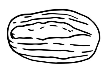 The vector isolated an oval-shaped element, top-view and hand-drawn in a doodle style with a black outline on a white background. stylized simple tortilla with textured lines and a single cut on top