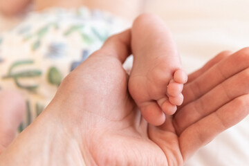 Newborn baby little feet in parents hand. Happy family conception. Feet skin care closup.