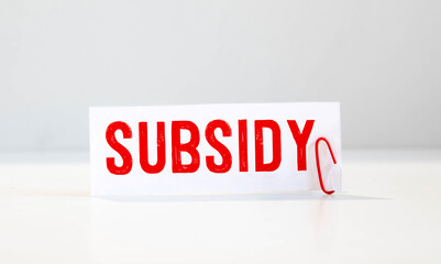 Blank sheet, pen and crumpled paper balls on grey table, flat lay. Text SUBSIDY