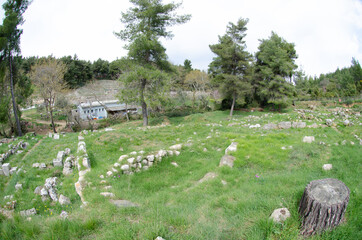 The Amphiareion of Oropos Greece Agora and ruins of ancient houses