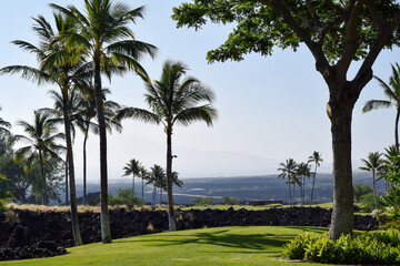 Fototapeta na wymiar ハワイ島の情景