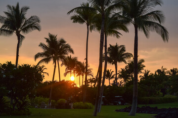 Fototapeta na wymiar ハワイ島の夕暮れ