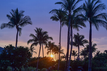 Fototapeta na wymiar ハワイ島の夕暮れ