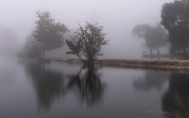 Obraz na płótnie Canvas fog on the river