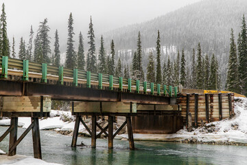 Mountain Logging Road Bridge in the Rocky Mountains