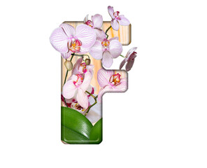 The letter F is made from an orchid