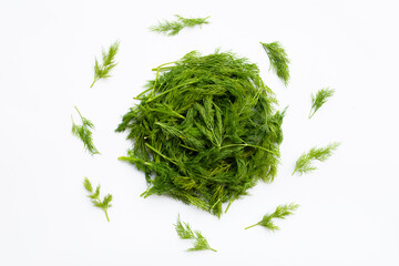 Fresh green dill on white.