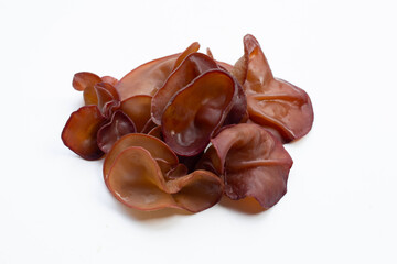 Black fungus mushroom on white.