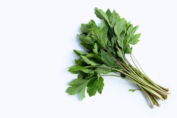 White mugwort leaves on white background.