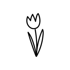 Doodle hand drawn cartoon tulip black outline on a white background. Vector illustration