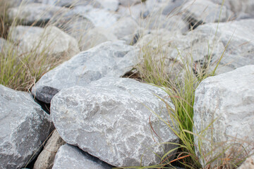 Large gray stones among which grass and flowers grow
