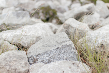Large gray stones among which grass and flowers grow