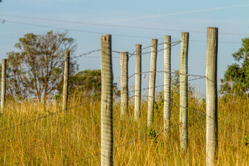 Obraz premium wooden fence by the road
