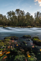 river in the forest