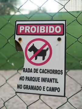 No Dogs Allowed In The Amusement Park