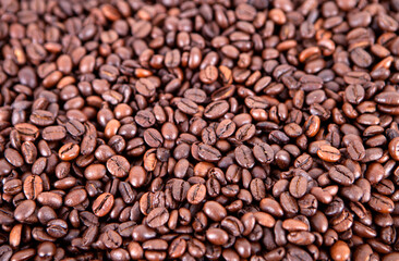 Coffee bean background