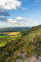 aerial landscape of plantation on farms with blue sky and clouds