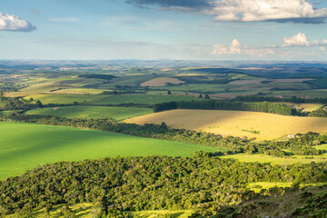 Obraz premium aerial landscape of plantation on farms with blue sky and clouds