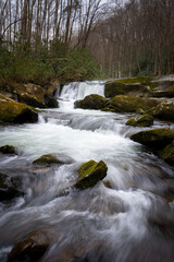 lynn prong cascades with mossy rocks in the spring